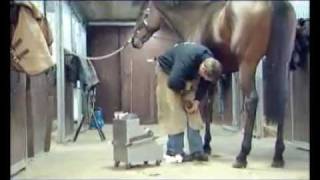 Vitafloor® computerized vibrating floor system for horses [upl. by Carver]