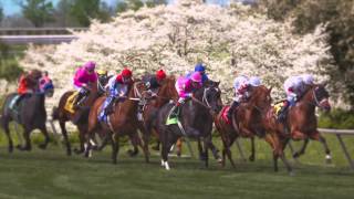 2015 Spring Meet TV Creative 15 [upl. by Fischer]