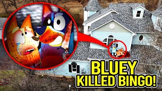 DRONE CATCHES BLUEY KILLING BINGO IN REAL LIFE BLUEY LOST EPISODE [upl. by Falconer]