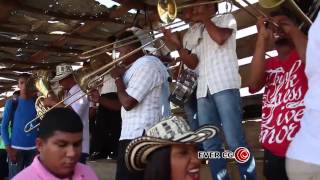 El guayabo de la ye Banda 16 de Agosto de Villa Rosa  Porro en corralejas [upl. by Ollehcram688]