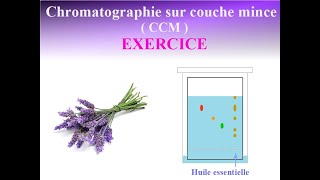 CHROMATOGRAPHIE sur couche mince CCM  COMMENT INTERPRETER un CHROMATOGRAMME  Exercice corrigé [upl. by Regazzi308]