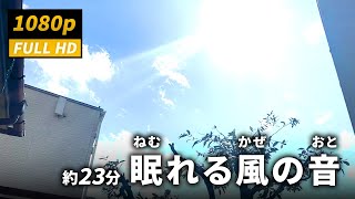 眠れる風の音と空の映像  晴れ〜雪景色【作業用・睡眠用BGM】Sleepinducing Wind Sounds with Sky Footage [upl. by Tandi959]