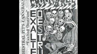 Orchestral Pits Cannibals  Exalted Oestrum 1997 Full Album [upl. by Nnairac906]