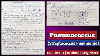 Pneumococcus  Streptococcus Pneumoniae   Morphology Culture character and Biochemical reaction [upl. by Artiek]