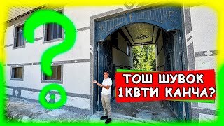 2024ЙИЛДА 250КВ ЖОЙГА ТОШ ШУВОҚ ҚИЛИНДИ ҚАНЧА ДЕНГИ КЕТДИ [upl. by Anita]