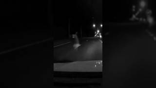 Horrifying Haunted Road Experience paranormal [upl. by Adam934]