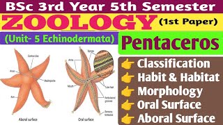 Pentaceros MorphologyMorphology of Pentaceros in HindiBSc 5th Semester Zoology 1st Paper Unit 5 [upl. by Madda]