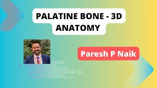 Palatine Bone Anatomy of the Nasal Cavity  3D anatomy [upl. by Tolliver559]