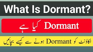 What is dormant account meaning  Dormant account kya hota hai JazzCash  Easypaisa ya bank mein [upl. by Sokem]