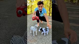 RC Remote control Two Horse 🐎 with Cow testing 🔥 [upl. by Ettari167]