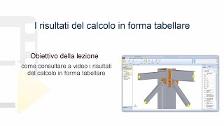 Tutorial NeXus  I Risultati del calcolo in forma tabellare  ACCA software [upl. by Herbert902]