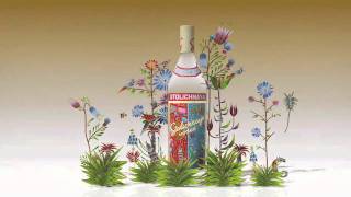 Stolichnaya limited edition 2010 by Yuri Gorbachev [upl. by Seroled]