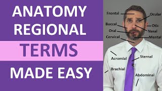 Regional Terms Anatomy  Body Parts Name  Nursing Medical Terminology Made Easy [upl. by Adoh33]