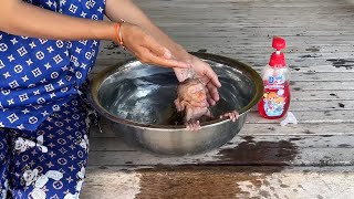 WOW Adorable Bro Mako Sit In Warm Bath Tub Enjoy Bathinq [upl. by Armilda289]