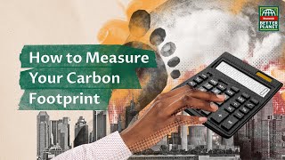 How to Calculate Your Carbon Footprint [upl. by Olbap]