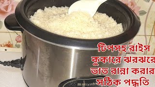 সঠিক পদ্ধতিতে রাইস কুকারে ঝরঝরে ভাত রান্নাহারির তলায় ভাত না লাগার টিপস cook rice in rice cooker [upl. by Haywood]