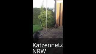 Katzennetz  Katzenschutznetz  Freigehege  Katzenbalkon [upl. by Sinnal406]