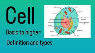 Cell  basic to higher cell allclasses allboards comptetiveexams science [upl. by Potter]