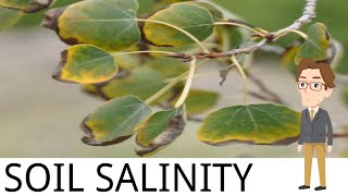 SOIL SALINITY [upl. by Asereht385]