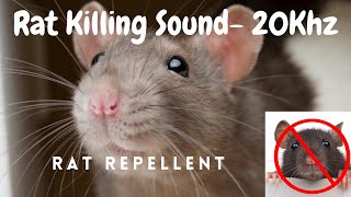 Anti Rat Repellent  Mouse Killer Sound  Very High Pitch Sound  20Khz  Kill Rats using mobile [upl. by Octavla]