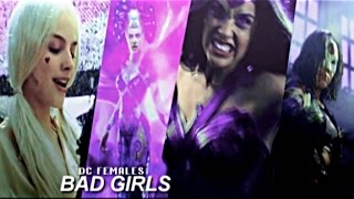 DC Females — bad girls do it well [upl. by Kerby]