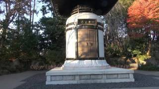 Japan Trip 2015 Tokyo quotRisshō Kōsei Kaiquot [upl. by Ennyroc]