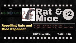 HighFrequency Sound for Repelling Rats and Mice Repellent part 2  ratrepellent mice rats sort [upl. by Attiuqal]