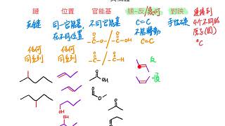簡述異構體的分類 [upl. by Mayhs661]
