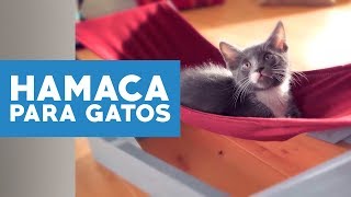 Cómo hacer una hamaca para gatos [upl. by Naoma855]