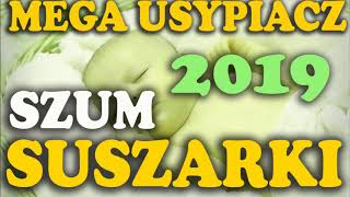 Usypiacz Niemowlaka Niemowląt 3 godziny Szum Suszarki Nowość 2019 Biały Szum [upl. by Essinger]