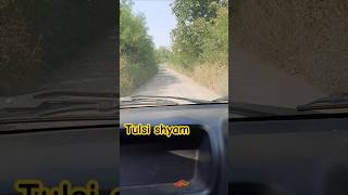 Tulsi shyam forest tulsishyam forest youtubeshorts [upl. by Sakiv]