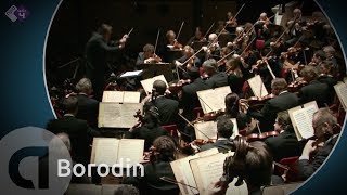 Borodin Second Symphony  Royal Concertgebouw Orchestra  Concert HD [upl. by Adnilahs]