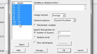 Cluster analysis [upl. by Tiphanie]