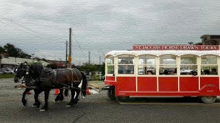 st jacobs horse drawn tours trolley [upl. by Ahsekim]