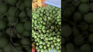 Hermosa naturaleza vida  delicioso mamoncillo fruit nature youtubeshorts frutos [upl. by Ntsud687]