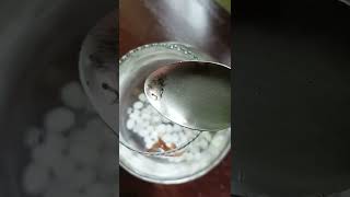 Fighter fish eating mosquito larvae 😍😍 [upl. by Neerol]