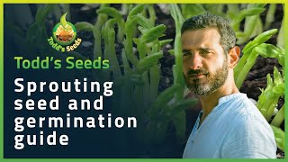 Sprouting Seeds and Germination Guide [upl. by Frederick]