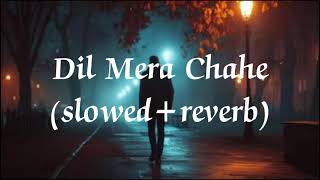 Dil Mera Chahe song [upl. by Neelsaj]