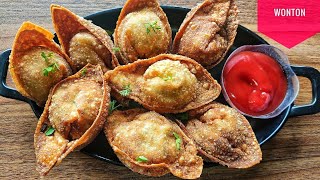 Chicken Wonton Samosas Chinese Starter Recipe Ramzan special [upl. by Westberg]