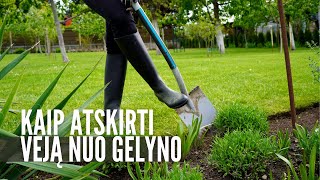 Kaip atskirti veją nuo gėlyno – be plastiko [upl. by Aitenev]