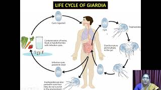 Giardia Lamblia  VHNSNCollege Autonomous [upl. by Questa]