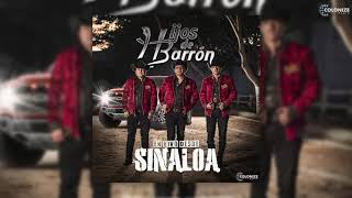 Hijos de Barron  En Vivo Desde Sinaloa Disco Completo [upl. by Micheline]