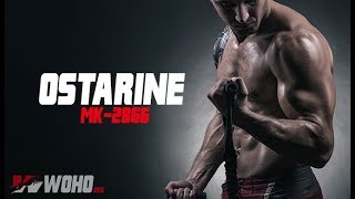 A Beginners Guide To Ostarine MK2866 [upl. by Dott]