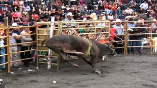 JARIPEO EN INDAPARAPEO MICHOACAN 2024 ¡¡ [upl. by Herrick]