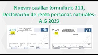 29 Nuevas casillas formulario 210 declaración de renta personas naturales AG 2023 [upl. by Malinin]