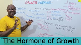 Interesting Facts About Growth Hormone [upl. by Grubb]