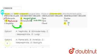 Phylums and related characteristics are given below  Choose an appropriate option which fills t [upl. by Kati]