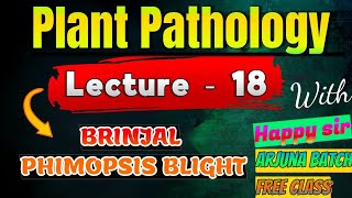 lec 18 Phomopsis Blight Disease  Fruit rot disease of brinjal  Plant Pathology plantpathology [upl. by Hephzibah]