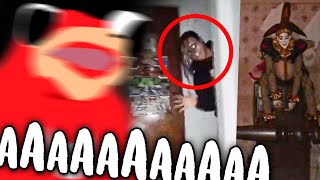 LA RATA REACCIONA A VIDEOS DE TERROR 2  LLORA [upl. by Drofdeb104]