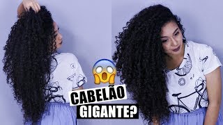 COMO O MEU CABELO CRESCEU TÃO RÁPIDO DICAS INFALÍVEIS  Vandressa Ribeiro [upl. by Elyssa]